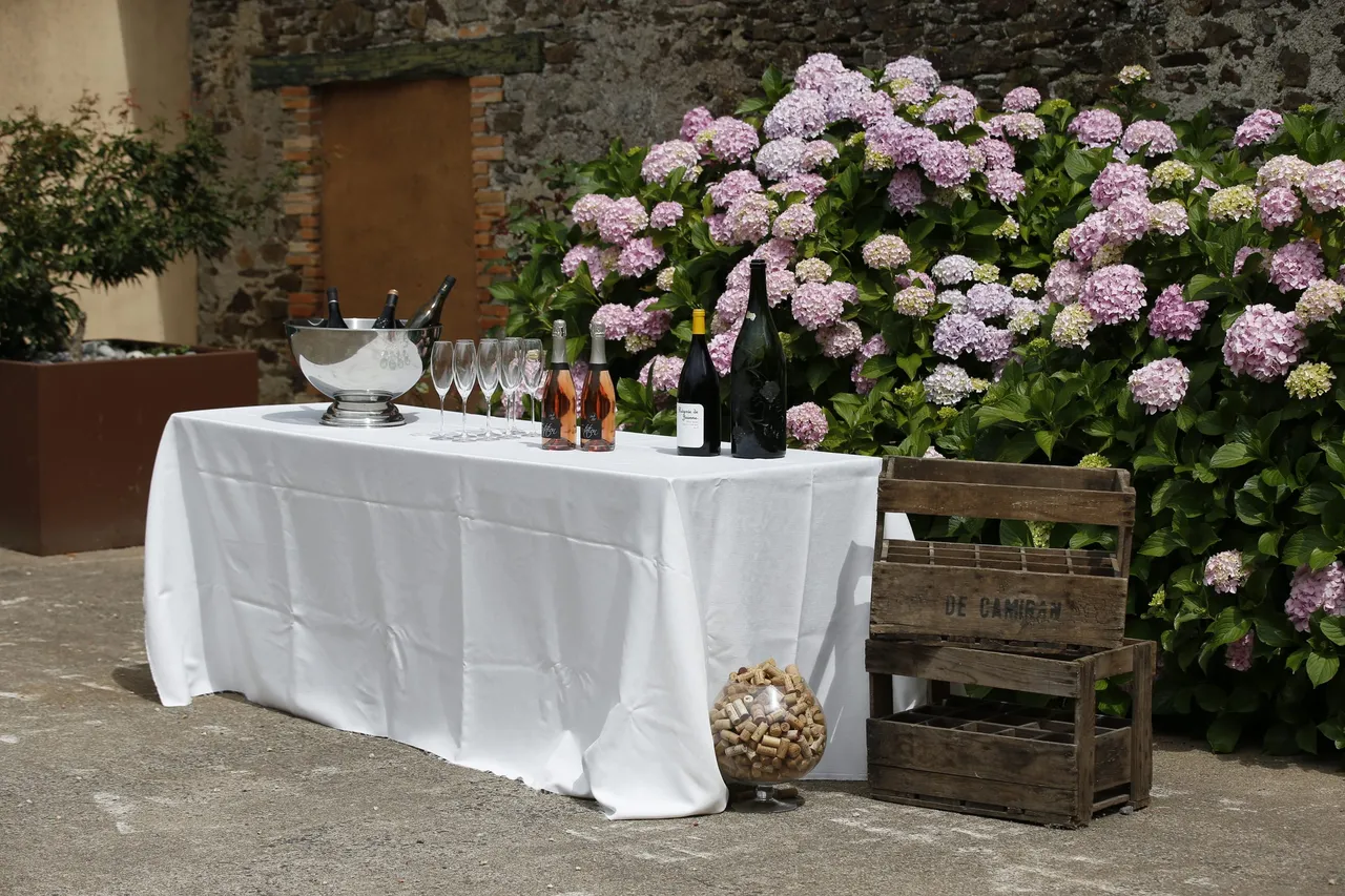 Buffet nappé de blanc devant les hortensias en fleurs