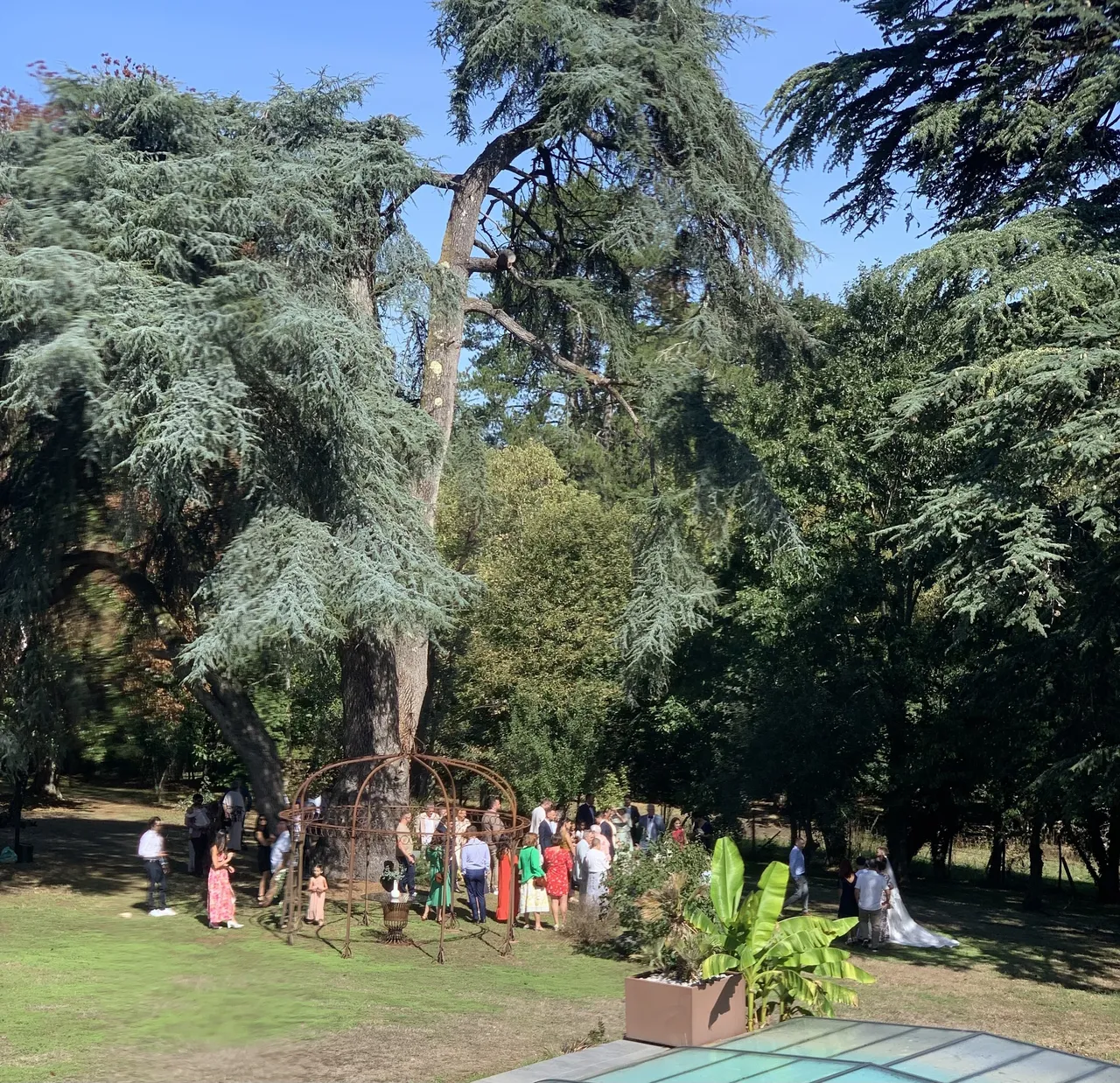 Invités réunis dans le parc arboré lors d’une réception