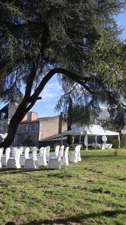 Chaises de cérémonie alignées sous les arbres du parc